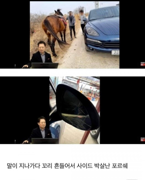 1646495703978.jpg