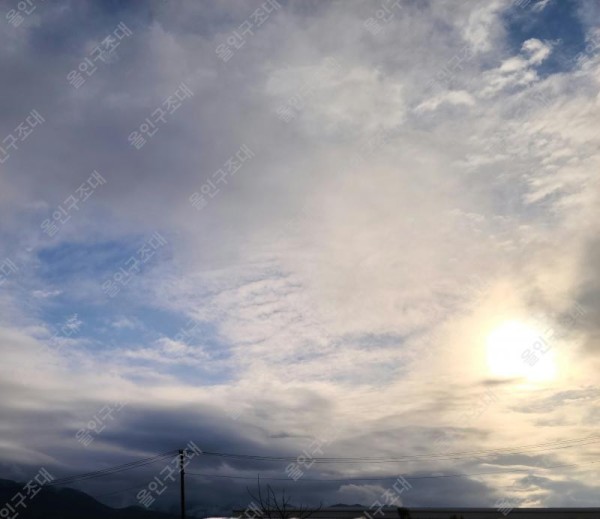 16213154540501.jpg