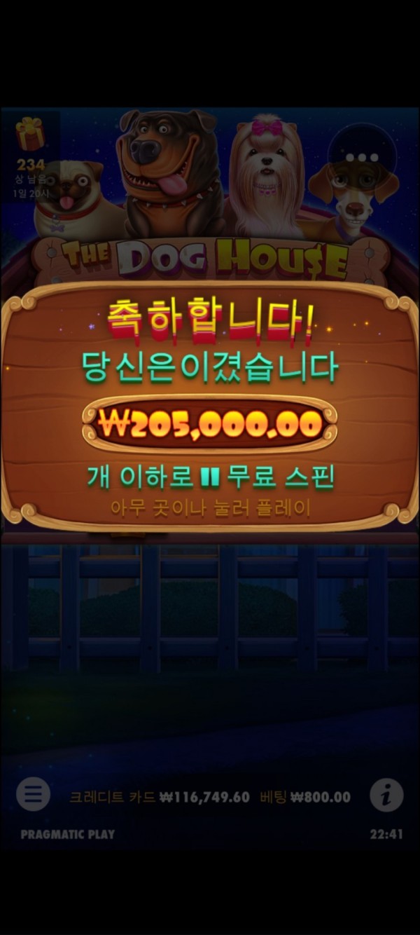 16219703879385.jpg