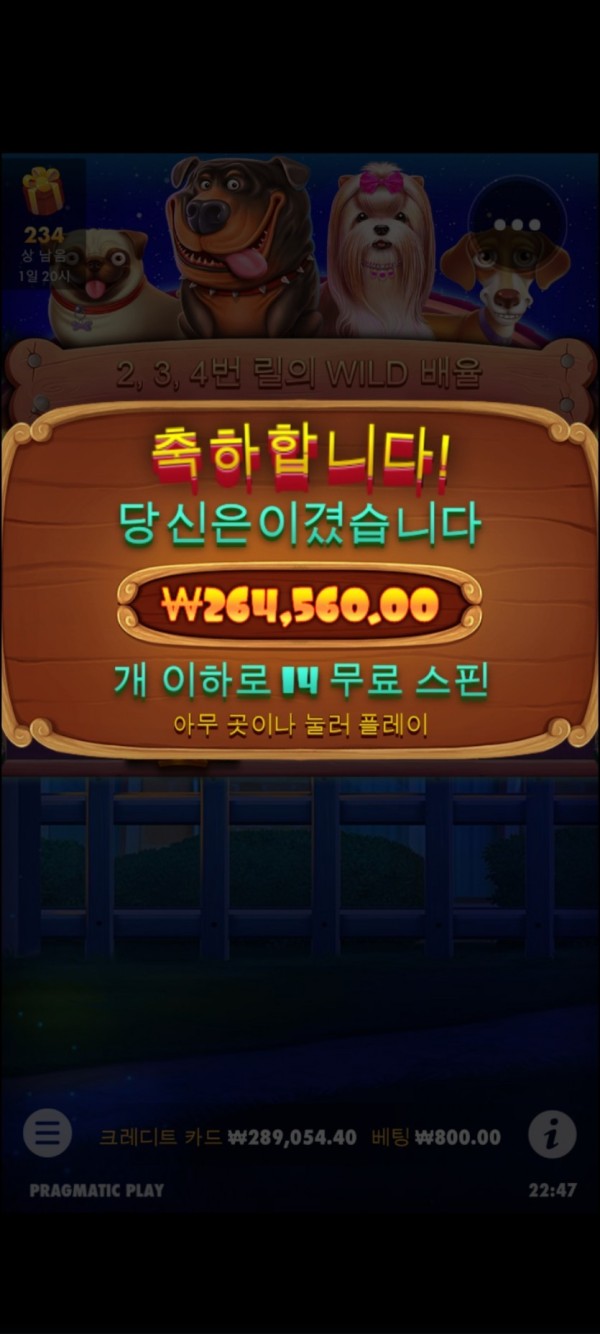 16219711877782.jpg