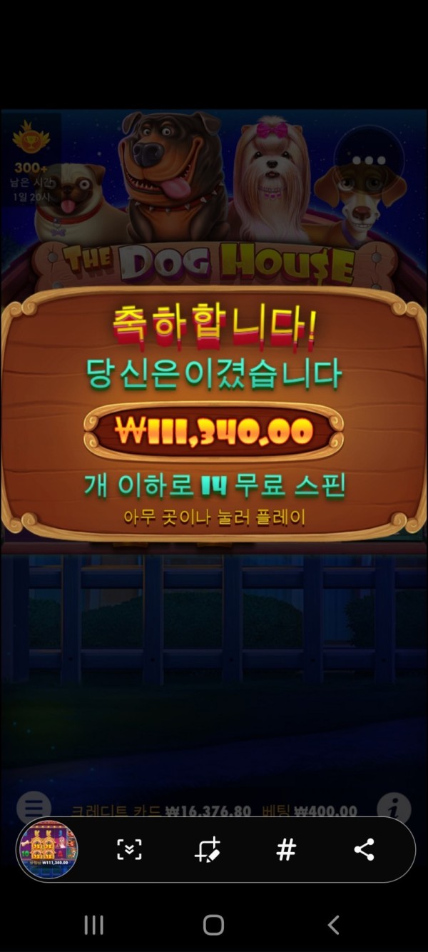 16219719112563.jpg