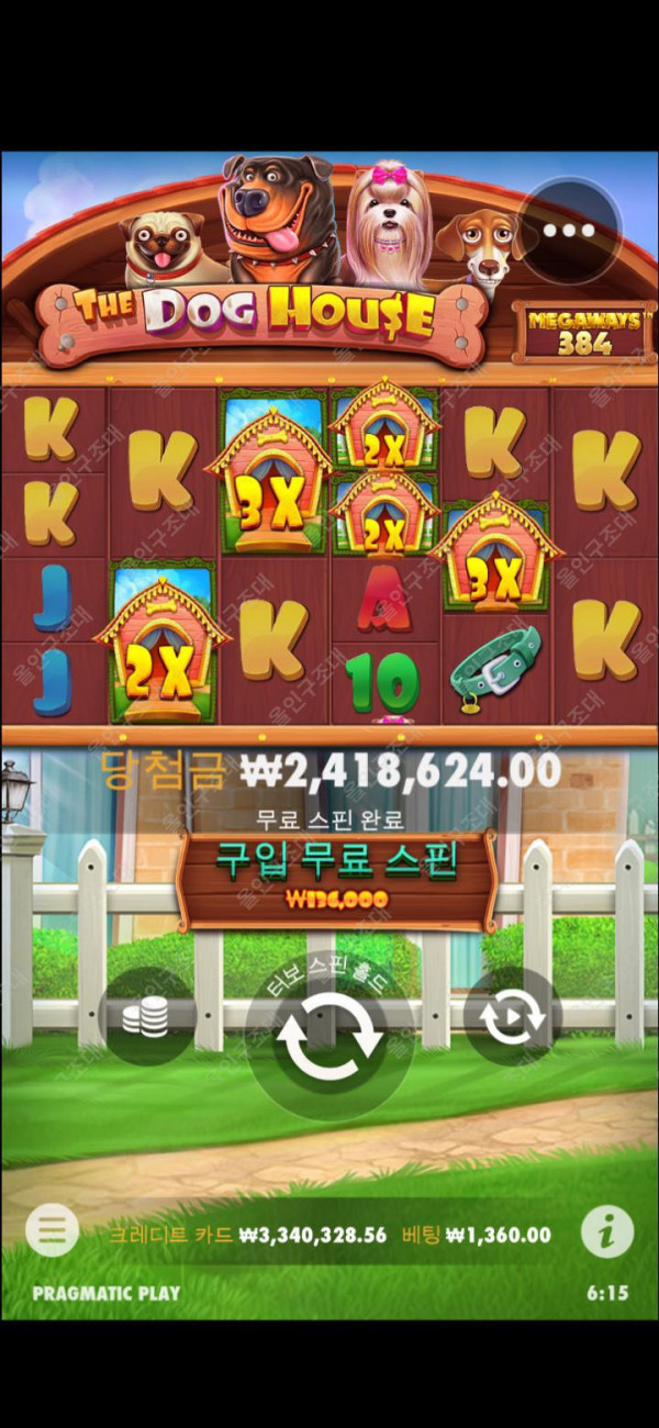 16245231394796.jpg