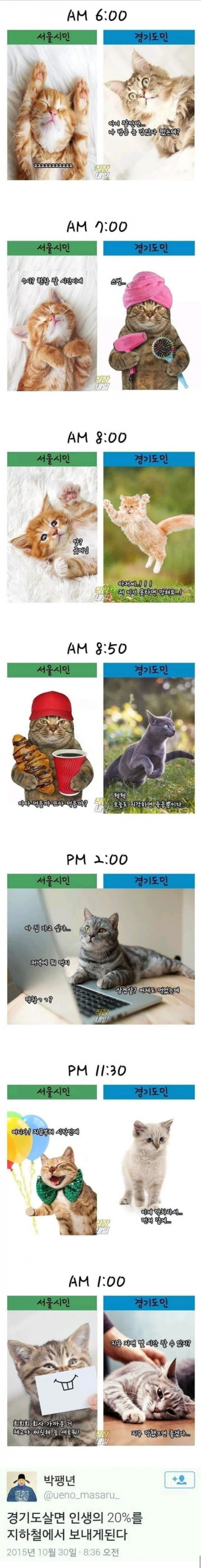 16466430986432.jpg