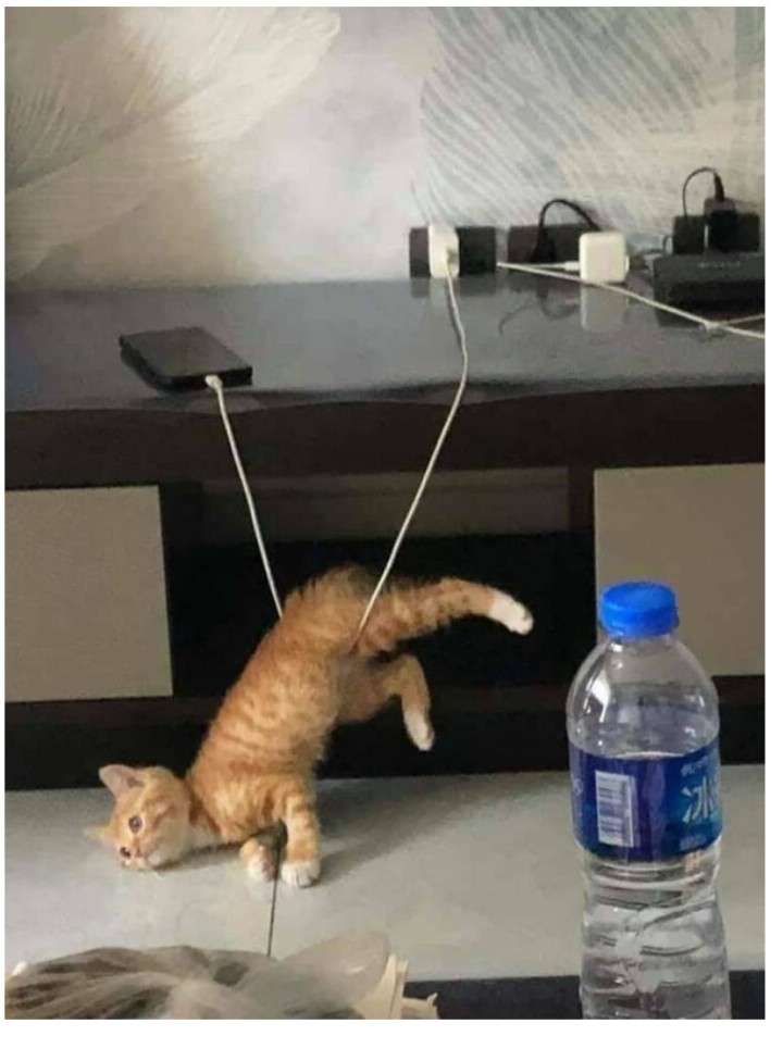 1647690018811.png