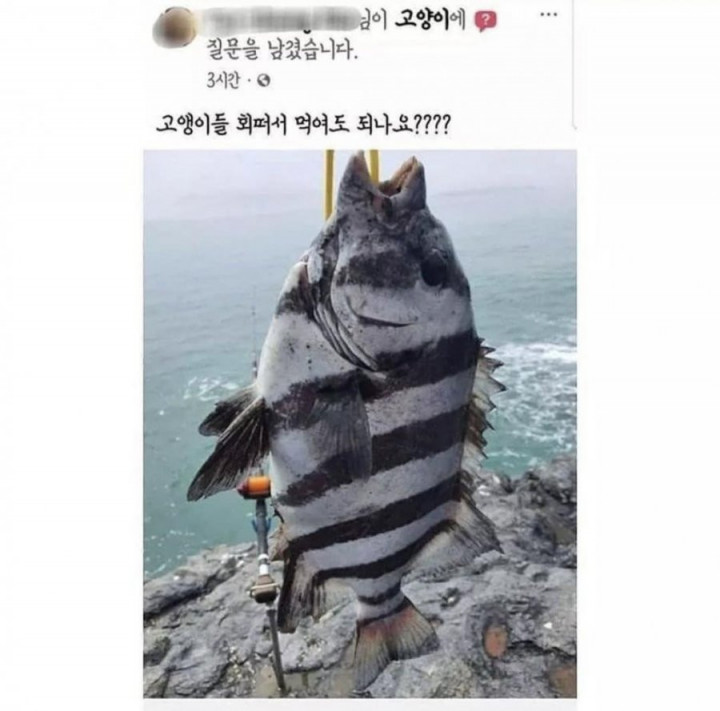 16477506917902.jpg