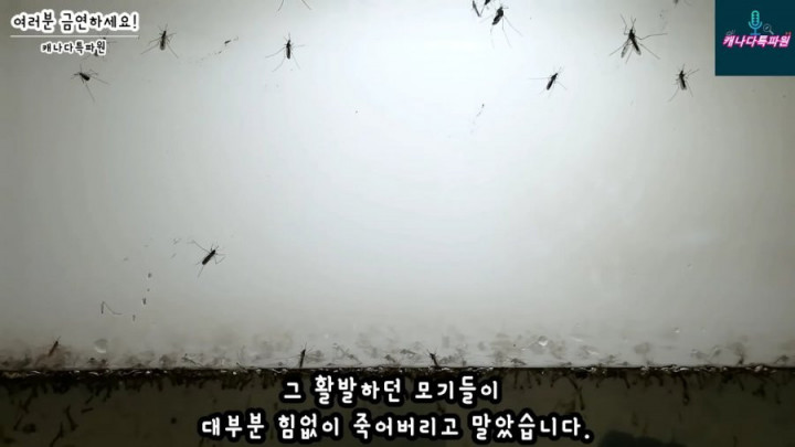 1647910416026.png