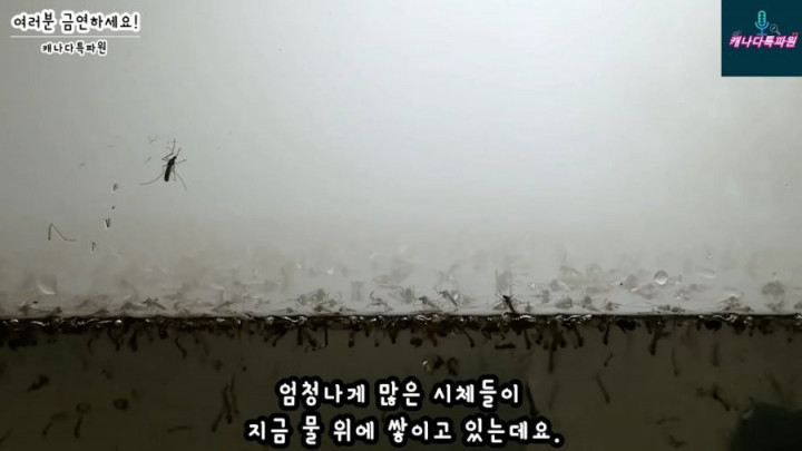 16479104161689.png