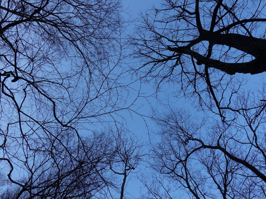 16390009405419.jpg