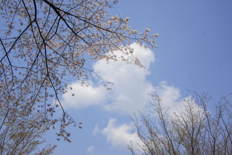 16397433770671.jpg
