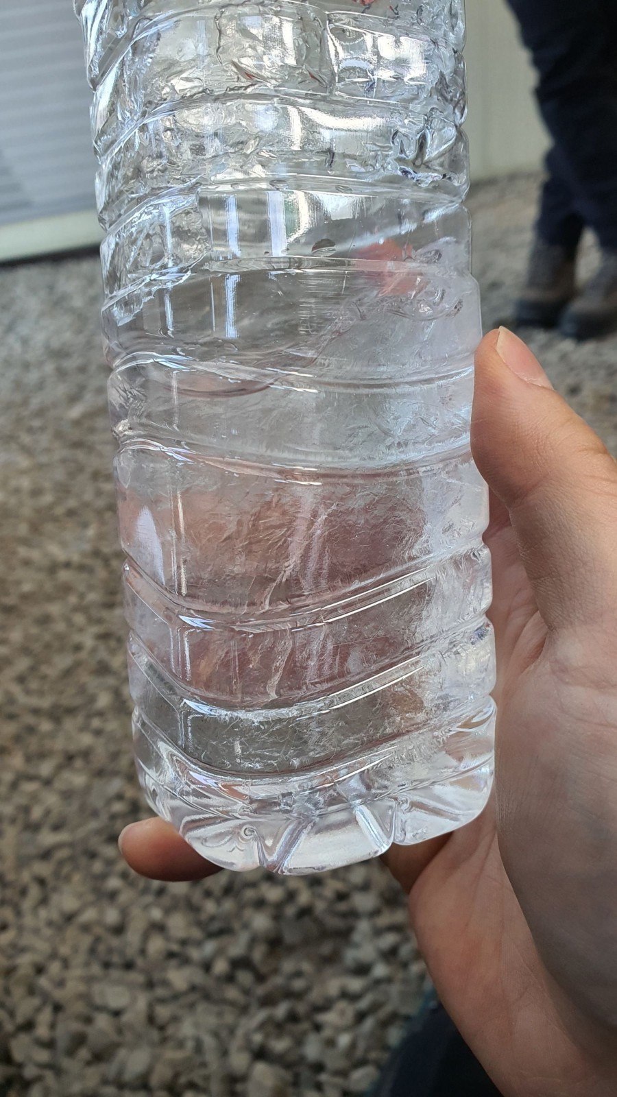 16398836169583.jpg