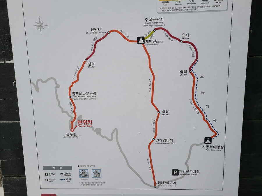 16412162075241.jpg
