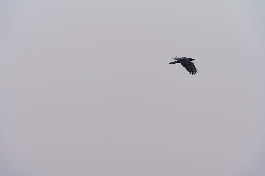 16416375490402.jpg