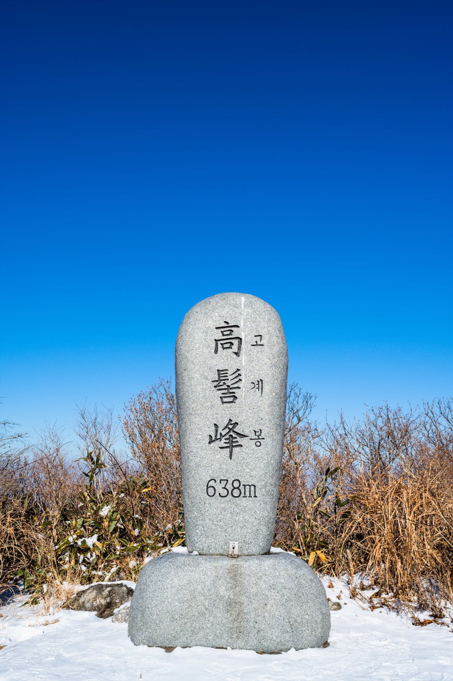16423362216829.jpg