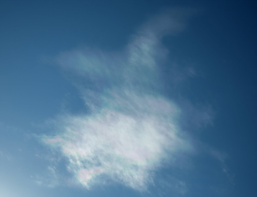 1642404687816.jpg