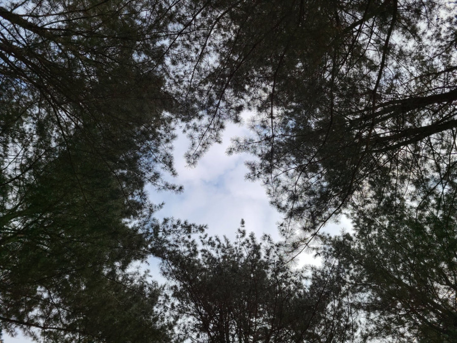 16429442160905.jpg