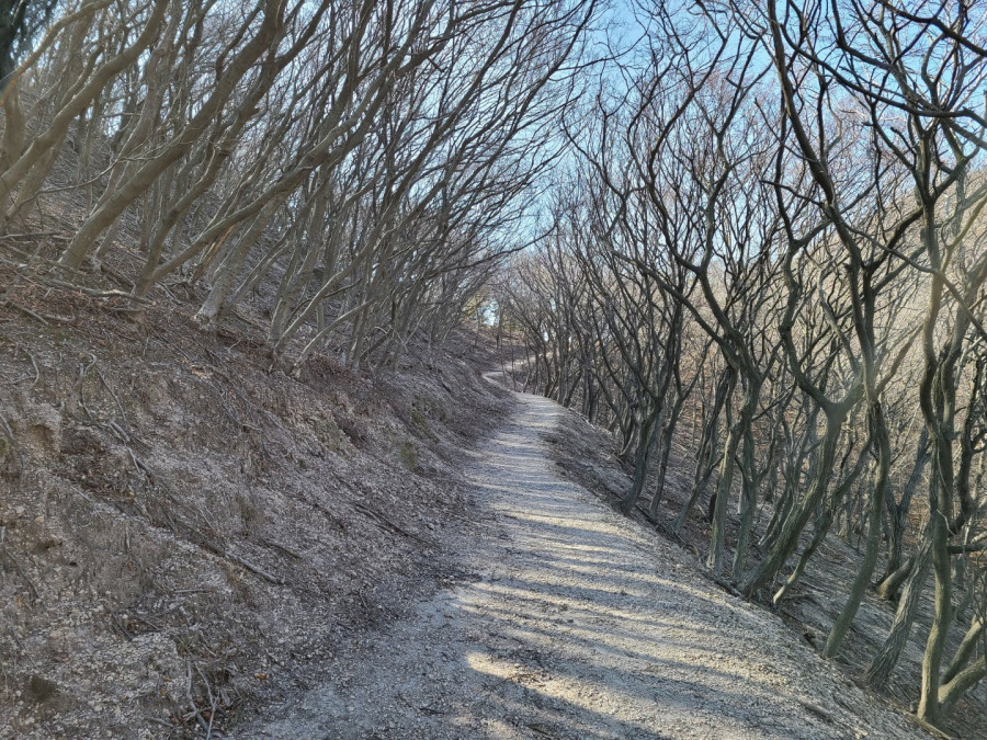 16435654964243.jpg