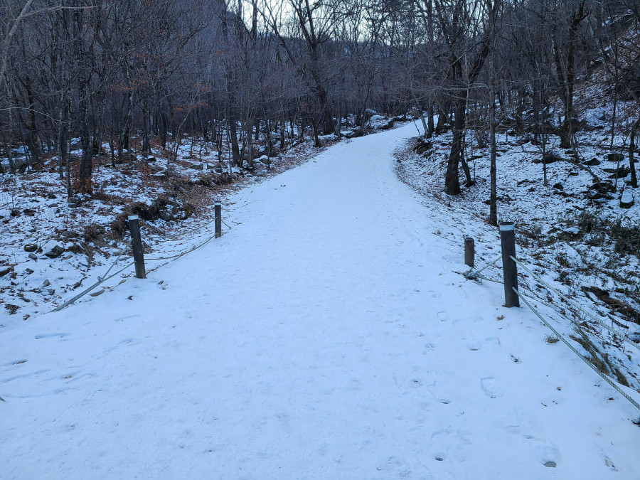 16444084399114.jpg