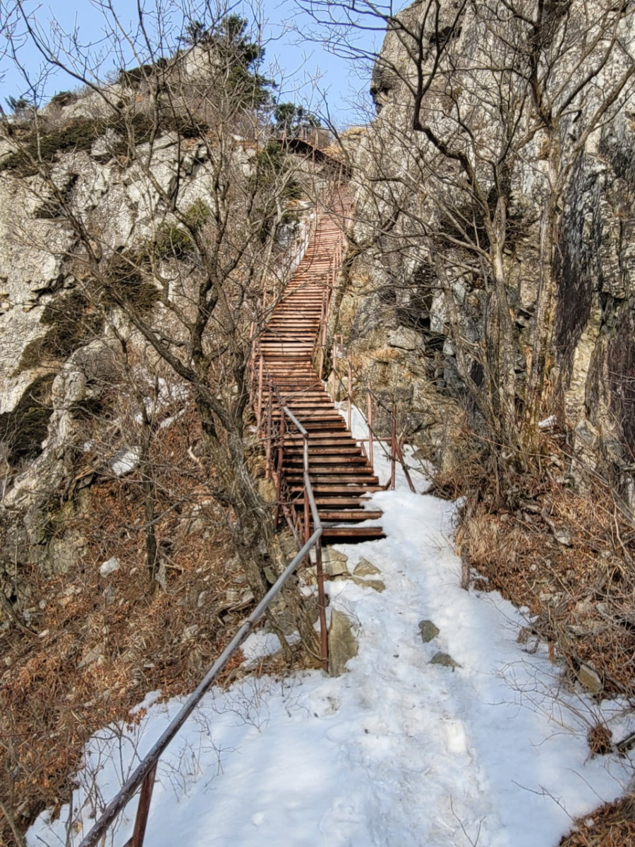 16449376988245.jpg