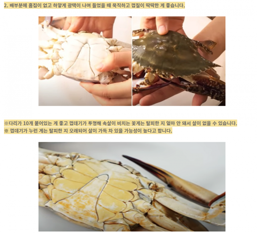 16310058629217.png