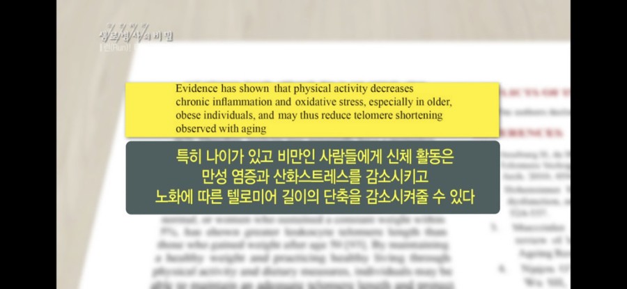 16408305730376.net