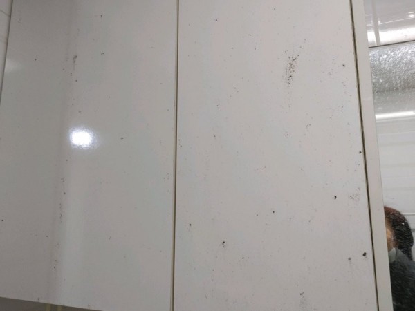 16397169408468.jpg