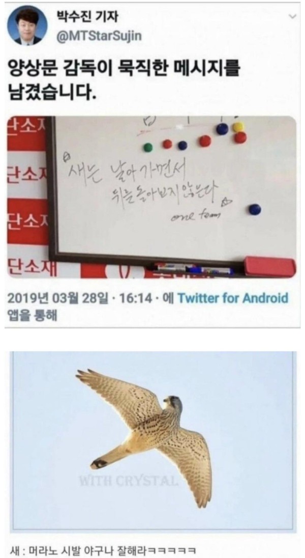 16227136935743.jpg