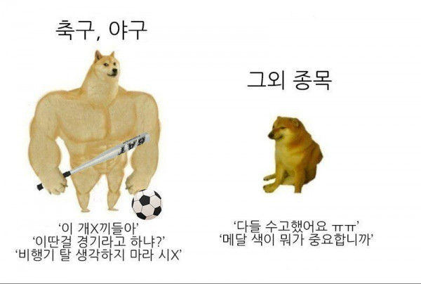 16280155562397.jpeg