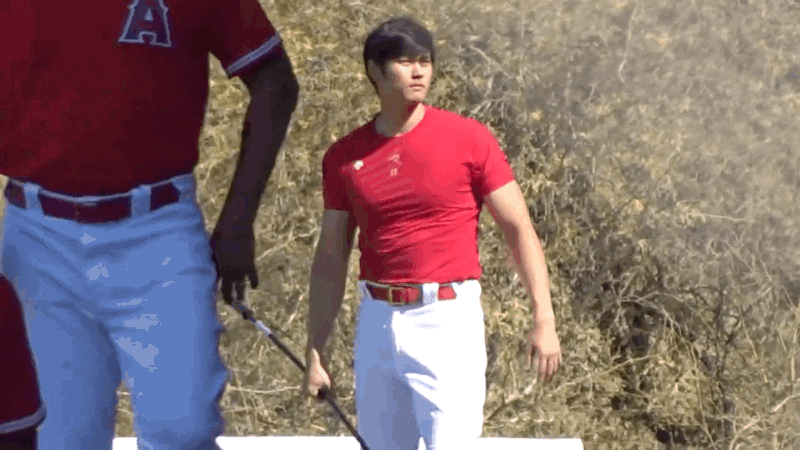 16483644166697.gif