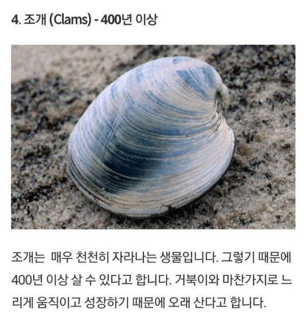 1622043811309.jpg