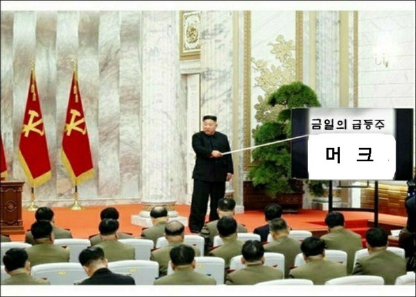16331661272329.jpg