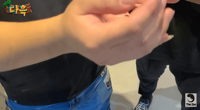 16255801633044.gif