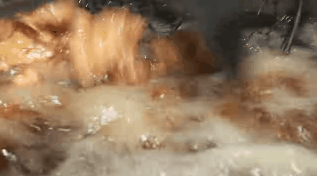 16405193720322.gif