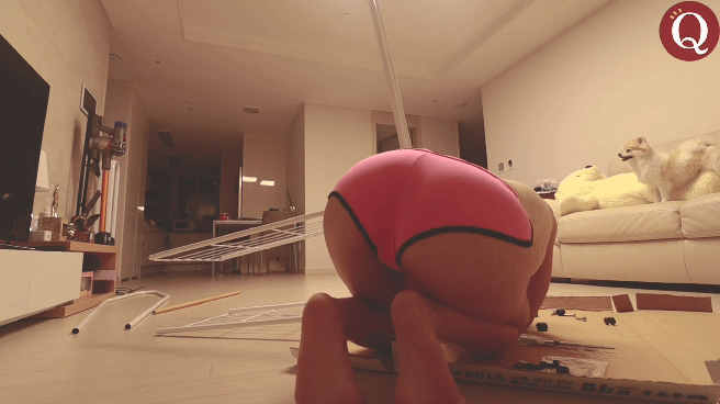 16440260503466.gif