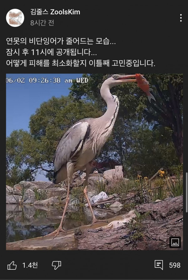 16228120494272.jpg