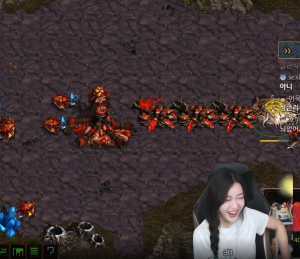 16265029753035.png