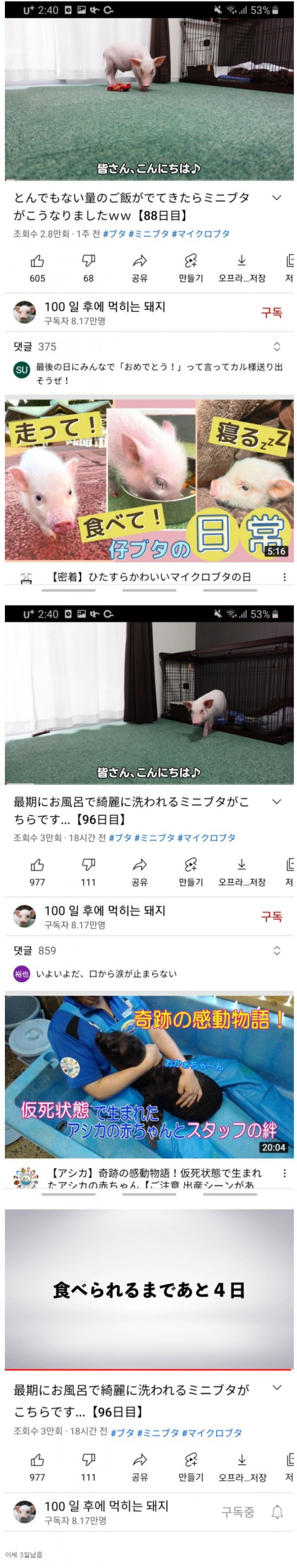 16303417768.jpg