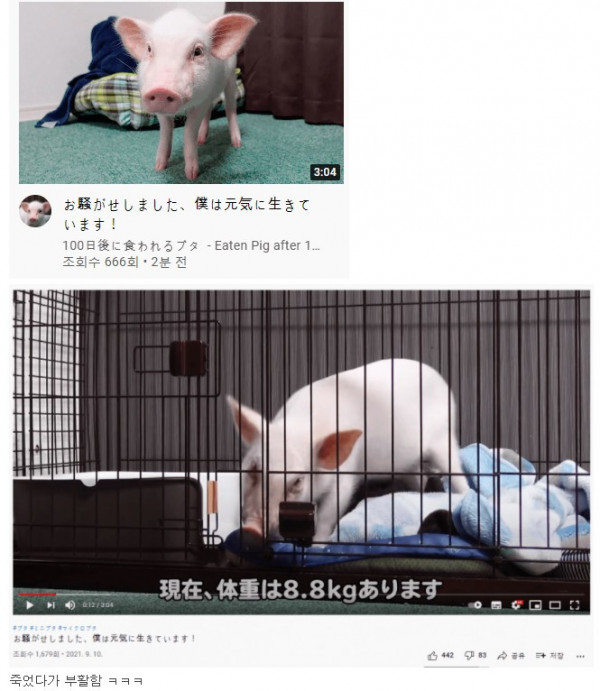 1631308830052.jpg