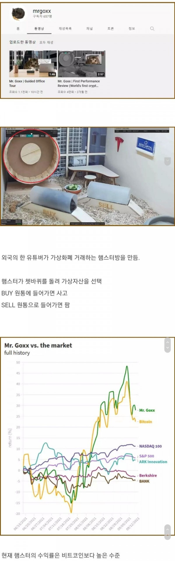 16328046797076.jpeg