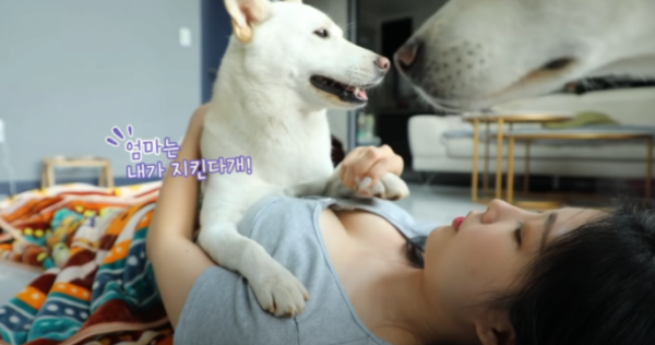 16403219959829.png